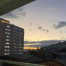 호야애견 | [여수 가성비 호텔 추천] 애견동반까지 가능한 깔끔한 숙소 호야스테이 후기