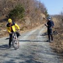 가사4교 - 정선군 | 가사4교