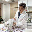 남산동물병원 | 신당동 동물병원 고양이 관절염 이렇게 알아차리세요!