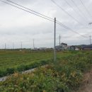 창제보건진료소 네이버블로그