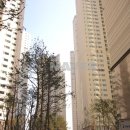 수영강부동산공인중개사사무소 이미지