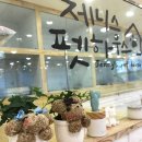 제니스펫하우스 이미지