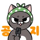 위트짐 수진점 이미지