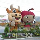 장수한우 이미지