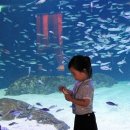 롯데월드아쿠아리움 이미지