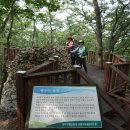 백두그린 이미지