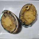 울산 슬도 성끝마을, 울산 방어진 회맛집, 신삼천포횟집 – 회 한상차림! 바다를 통째로 삼키다.