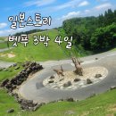 대가족 벳푸 일본스토리 프라이빗 패키지 여행ㅣ내돈내산 솔직 후기