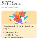 삐삐다육 - 여수시 | # 반려 식물 _ 베란다 텃밭 늙은 호박 모종 심기 후기 일지 기록