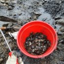 태안오션힐리조트 이미지