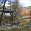 공주-06 이미지