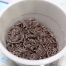 마미치킨 이미지