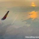 아라팰리스호텔 이미지