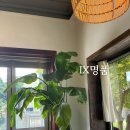 몽키가든 이미지