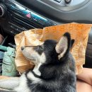 대동2목장 이미지