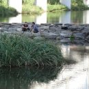 도림천 산책로4 이미지