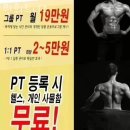 윈헬스 | 정자동헬스 윈휘트니스 피티 추천