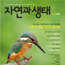 나모 이미지