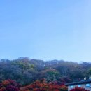 내장산 그리고 담양 무주에서 이미지