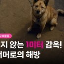 두잉에듀 이미지