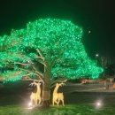 솔샘농장 이미지