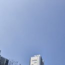 동도탑부동산공인중개사사무소 이미지