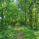 월산2리 이미지