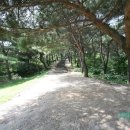 세종대왕자태실 관광안내소 이미지