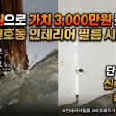 진성리폼