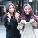에스투씨