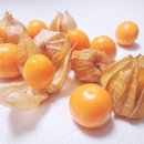 과일마트 이미지