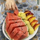 진보청과 이미지