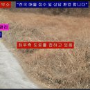 태양부동산중개사무소 이미지