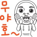 조광동물병원