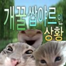반짝반짝 - 3678 | 반짝반짝