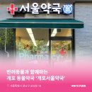 개포약국
