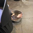 고기싸롱 하남 미사 무한리필 고깃집 주차,가격,메뉴 내돈내산 솔직후기