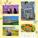 March' 03