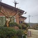 약식동원 다루야 이미지