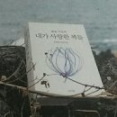 제주, 자전거여행 14일차. 중문에서 출발점인 서귀포까지 완주하다. 이미지