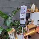 비비드리리컬헤어뷰티 이미지