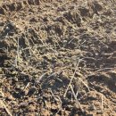 경운목장 이미지