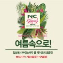 꼼빠니아대전 이미지