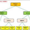 제3회 강북구청장배 일반부 본선 ( 26일 본선경기결과+선수사진+기록지 등) 이미지