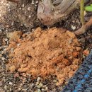 하늘소농장 이미지