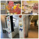 제주 노티드 도넛 종류 가격 추천메뉴 이용팁