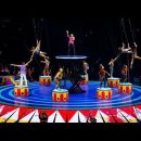 🎪Circus Show 2024 이미지