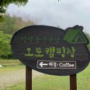 담양금성산성 오토캠핑장 티스토리