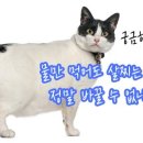 해달천한의원 이미지