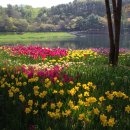 설봉공원 이미지